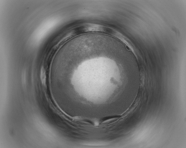 X0000112091151200908181258