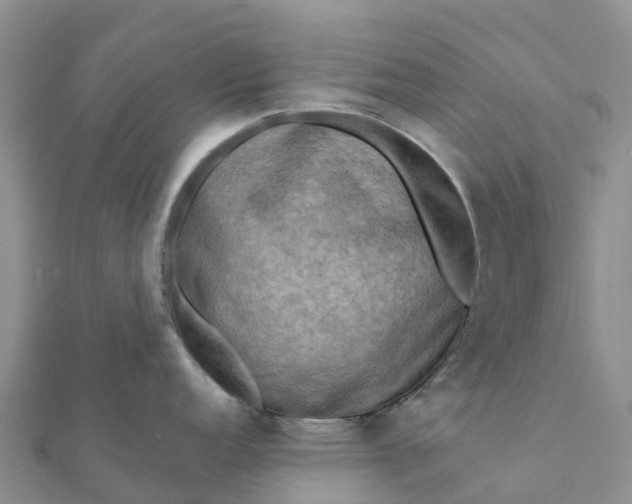 X0000112091152200908181258