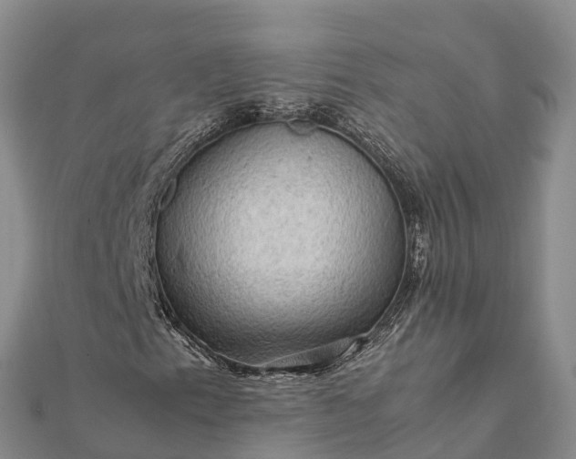 X0000112091153200908181258