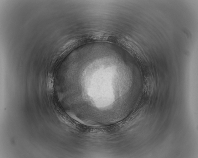 X0000112091154200908181258