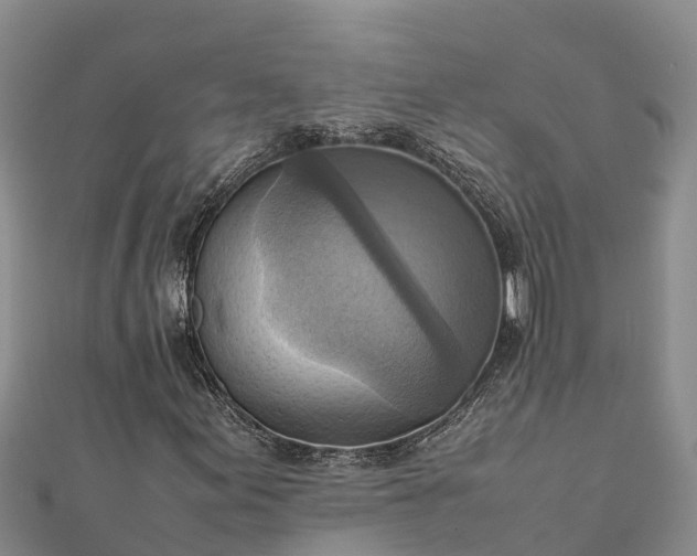 X0000112091155200908181258