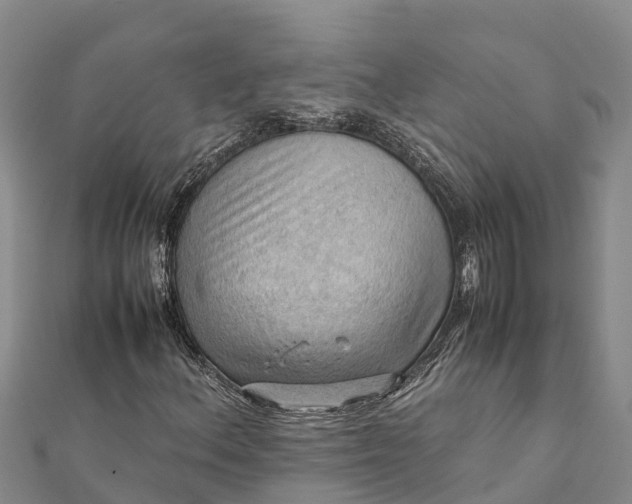 X0000112091156200908181258