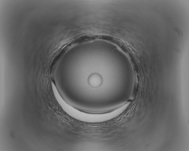 X0000112091157200908181258