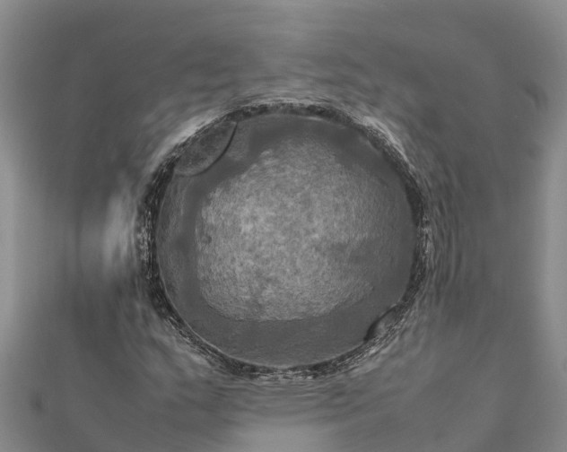 X0000112091159200908181258