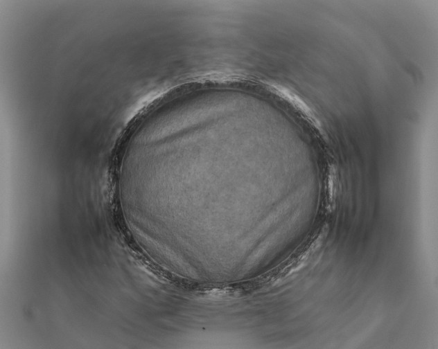 X0000112091160200908181258