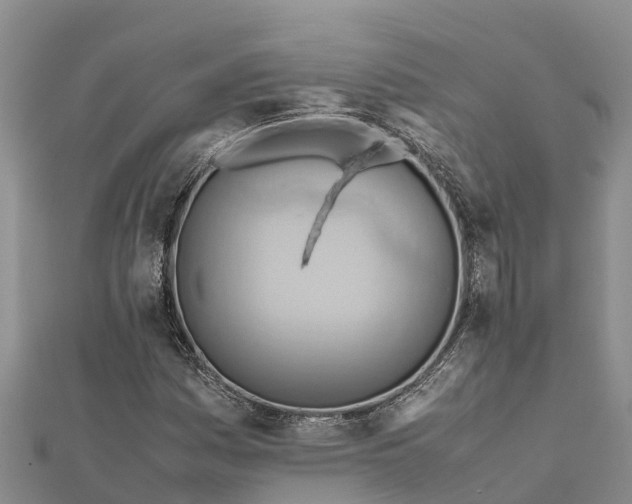 X0000112091161200908181258