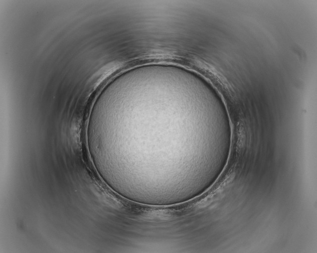 X0000112091162200908181258