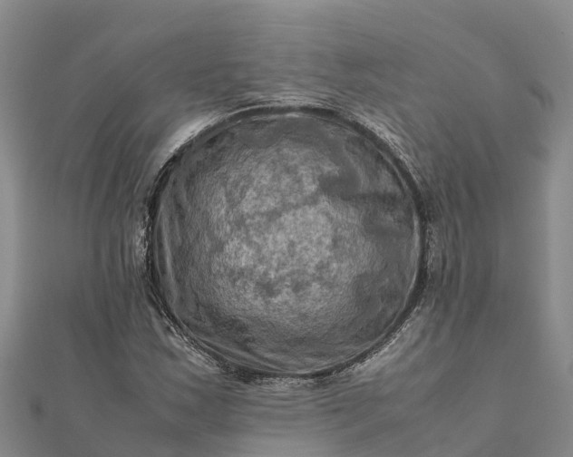 X0000112091163200908181257