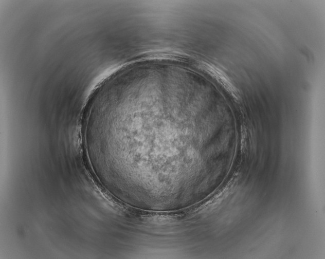 X0000112091164200908181257