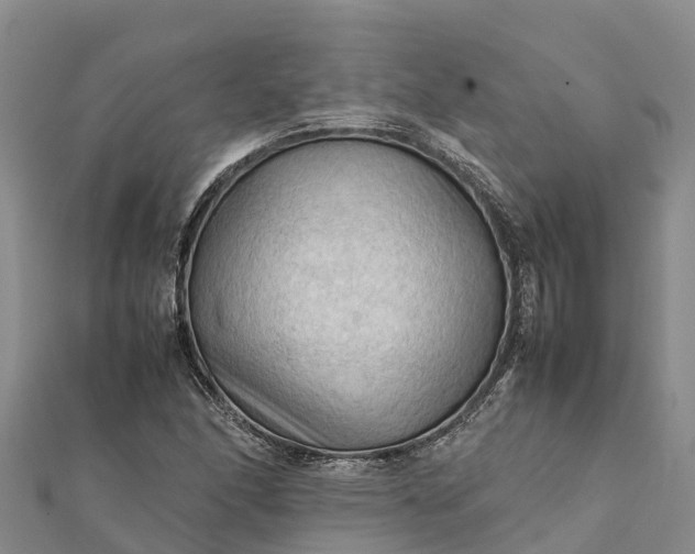 X0000112091166200908181257