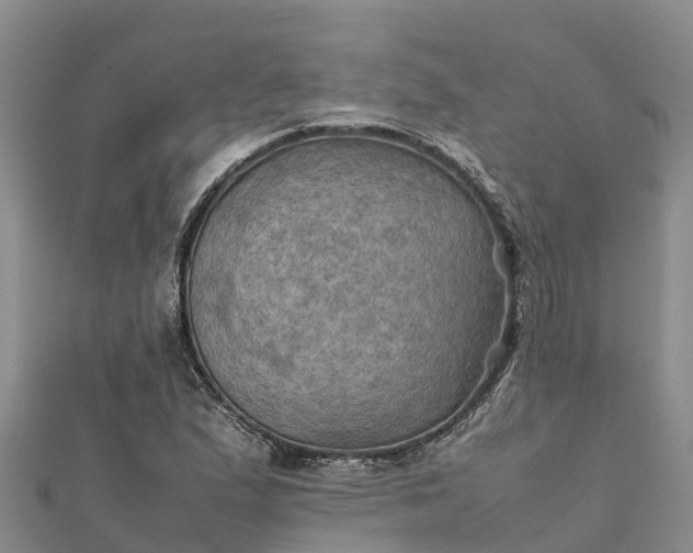 X0000112091167200908181257