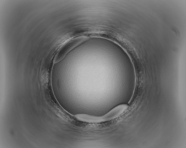 X0000112091169200908181257