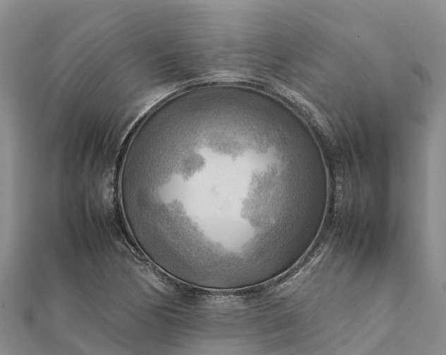 X0000112091170200908181257