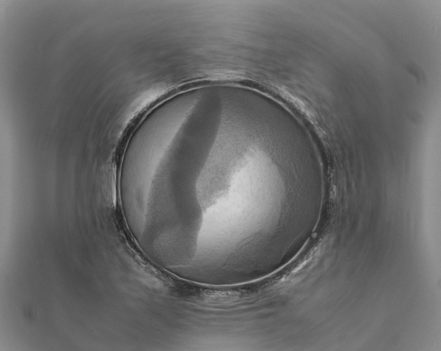 X0000112091171200908181257