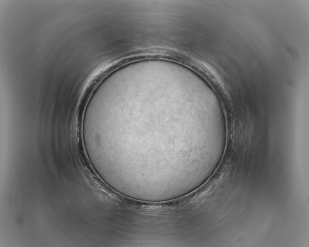 X0000112091172200908181257