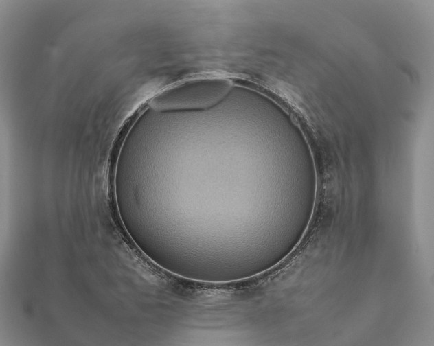 X0000112091173200908181257