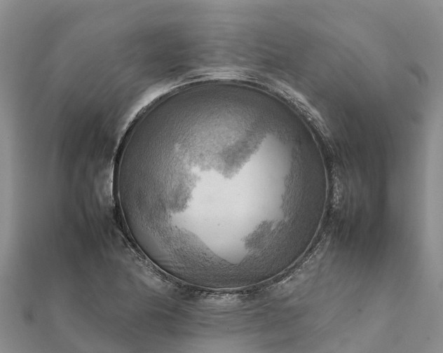 X0000112091174200908181257