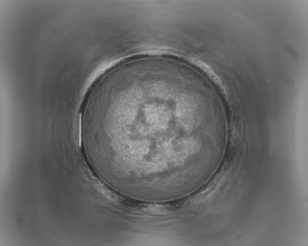 X0000112091175200908181257