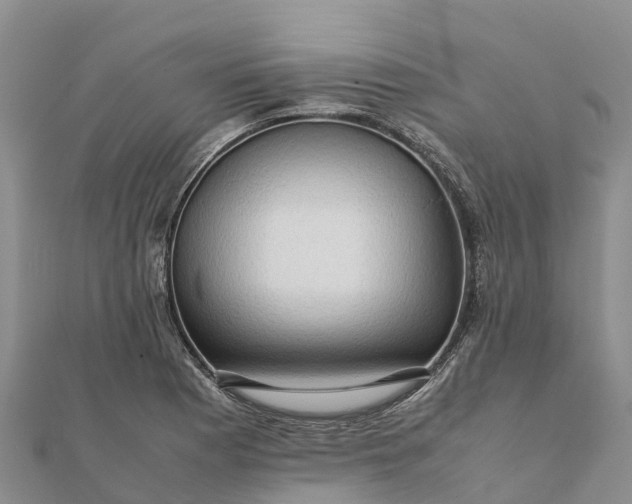 X0000112091177200908181257