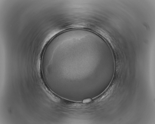 X0000112091179200908181257