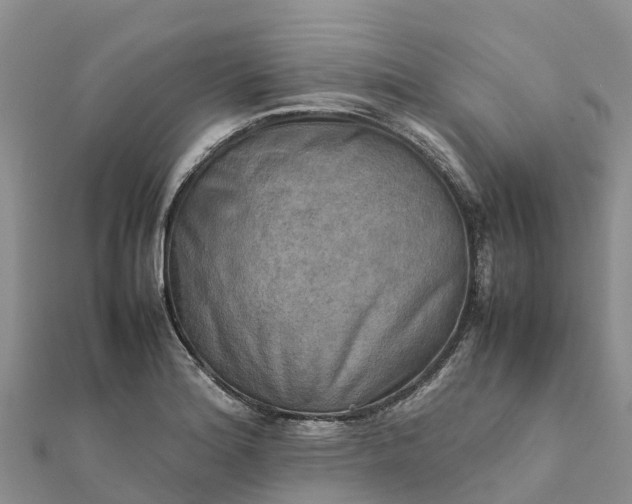 X0000112091180200908181257