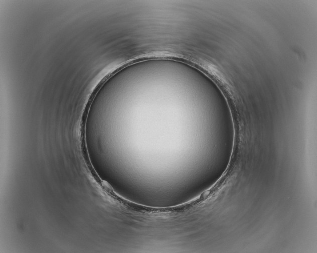 X0000112091181200908181257