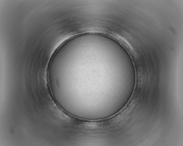 X0000112091182200908181257