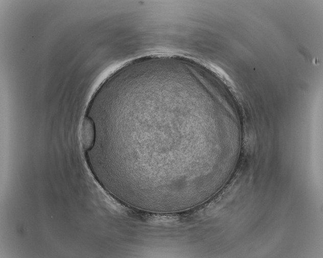 X0000112091183200908181257