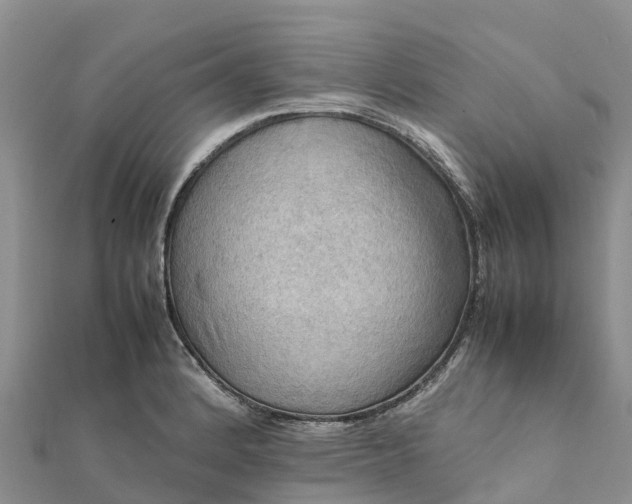 X0000112091184200908181257