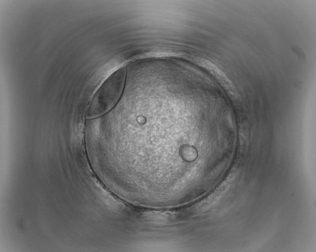 X0000112091185200908181257