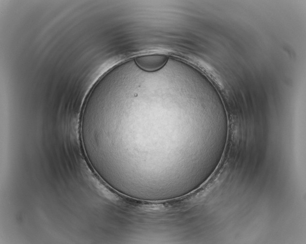 X0000112091186200908181257