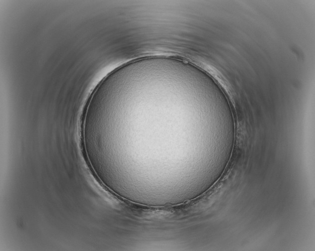 X0000112091187200908181257