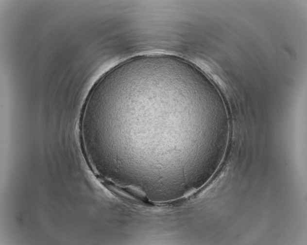 X0000112091189200908181257