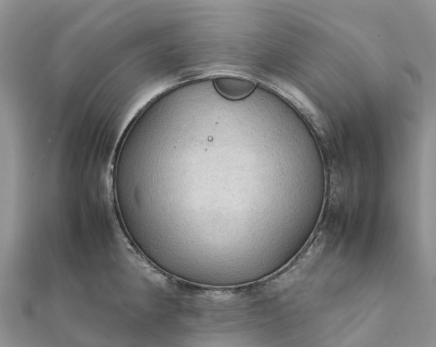 X0000112091190200908181257