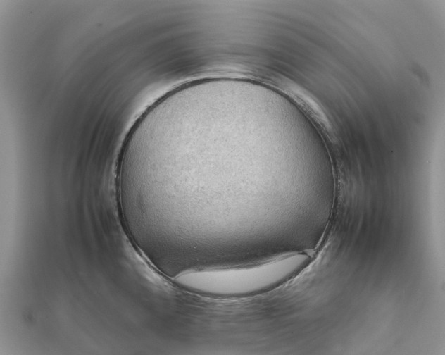 X0000112091192200908181257