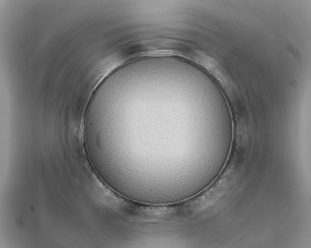 X0000112091193200908181257