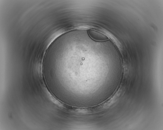 X0000112091194200908181257