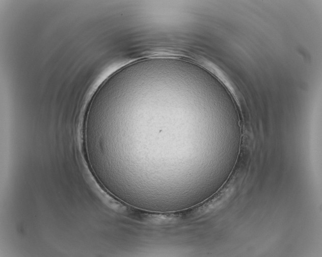 X0000112091195200908181257