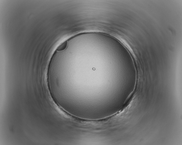 X0000112091197200908181257