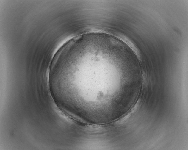 X0000112091198200908181257