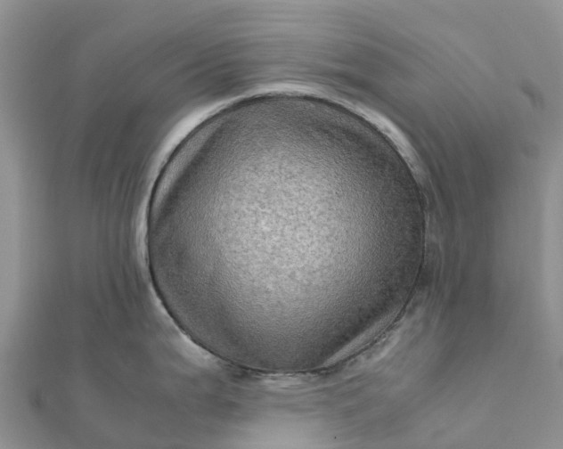 X0000112091199200908181257