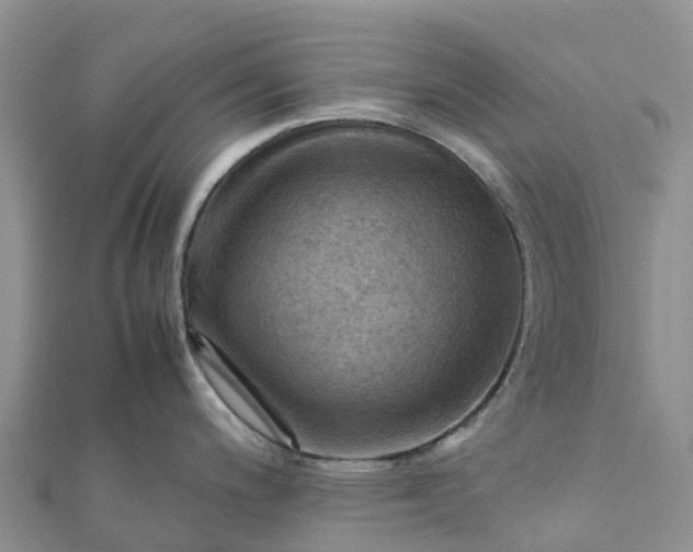 X0000112091200200908181257