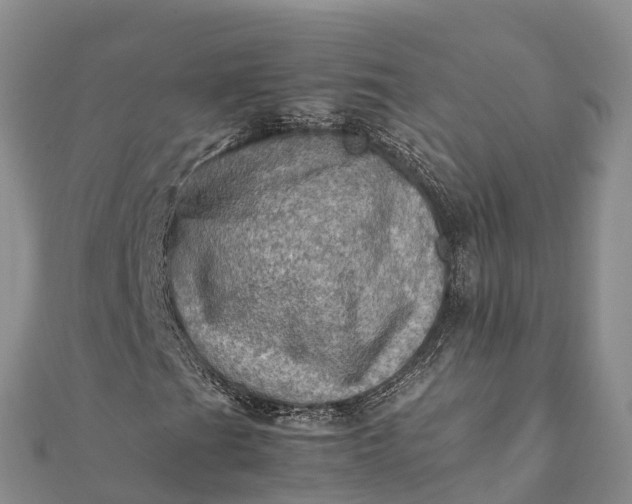 X0000112091201200908181256