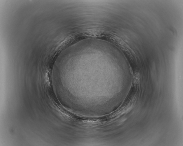 X0000112091202200908181256