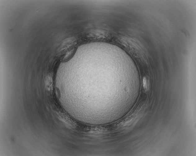 X0000112091203200908181256