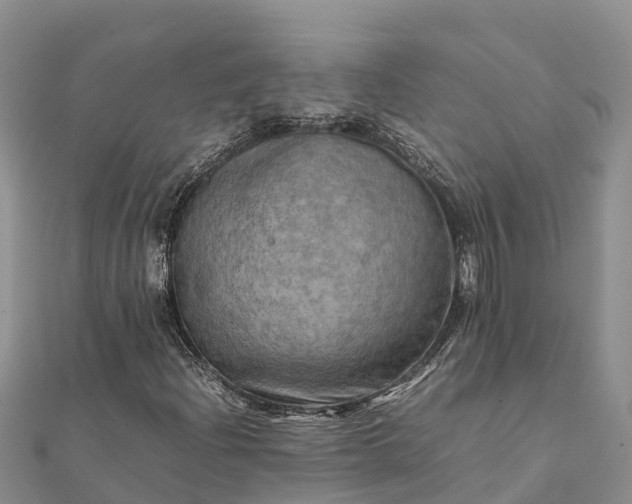 X0000112091204200908181256