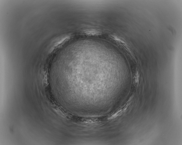 X0000112091205200908181256