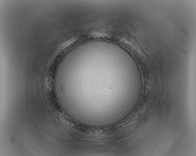 X0000112091207200908181256