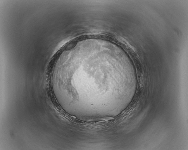 X0000112091208200908181256