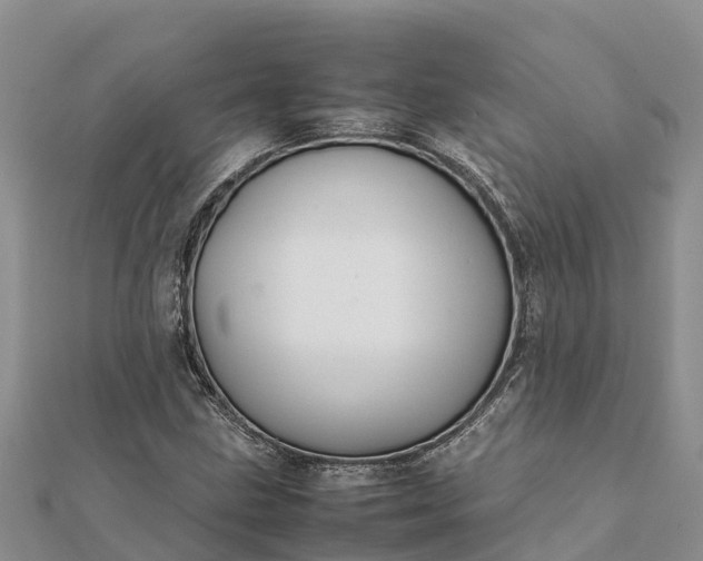 X0000112091211200908181257